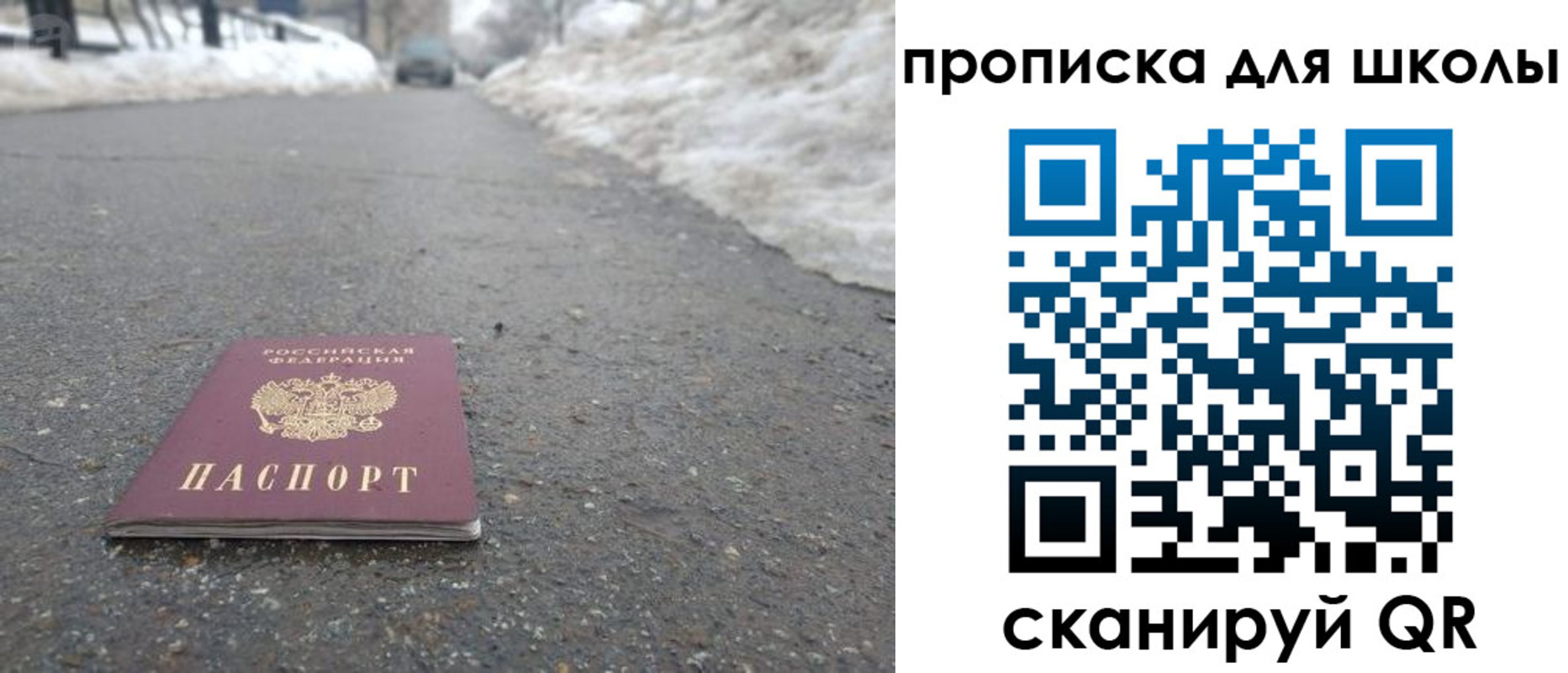 прописка для школы в Щиграх